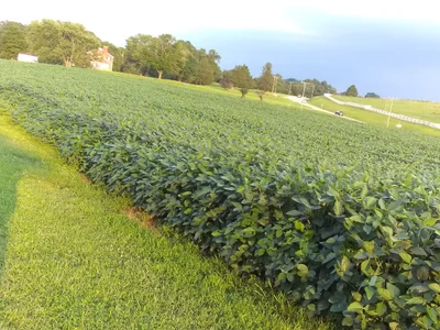 Goochland County - Photo 2