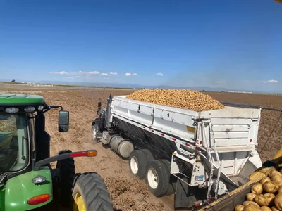 Alamosa County - Photo 2