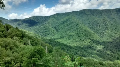 Raleigh County - Photo 2