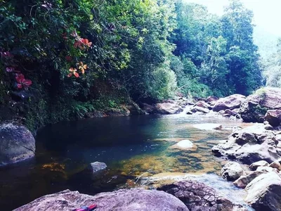 Udugama - Photo 3