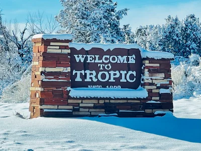Tropic - Photo 5