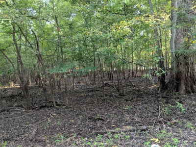 Union County - Photo 3