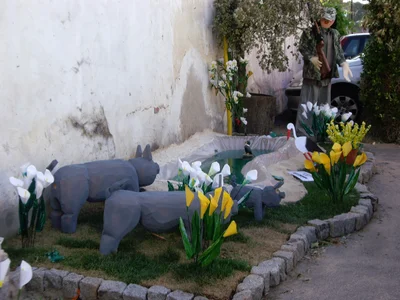 São Teotónio - Photo 2