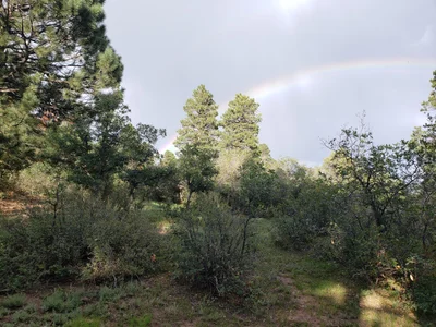 La Plata County - Photo 3