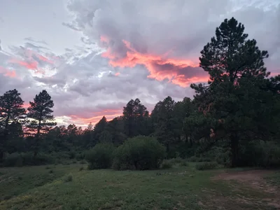 La Plata County - Photo 5