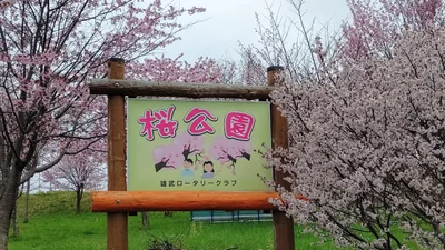 Oumu - Photo 2