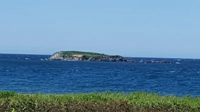 Oumu - Photo 4