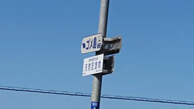 Oumu - Photo 5