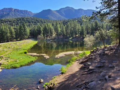 Pine Valley - Photo 2