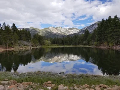 Pine Valley - Photo 3