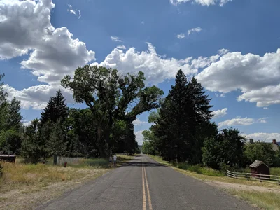 Pine Valley - Photo 4