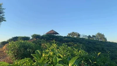 Moulvibazar - Photo 4