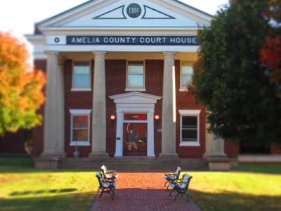 Amelia - Photo 2