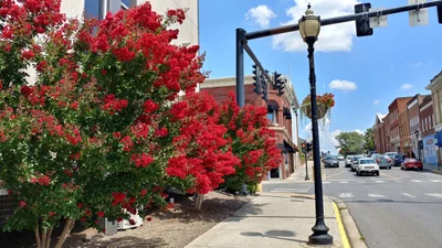 Bedford - Photo 2
