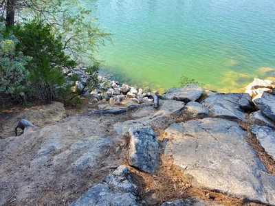 Bass Lake - Photo 3