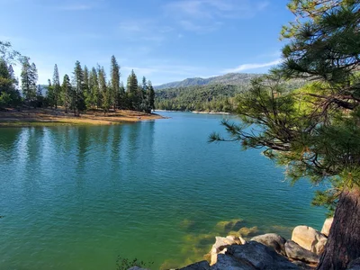 Bass Lake - Photo 4