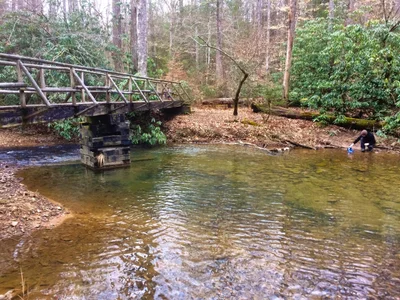 Bland County - Photo 3