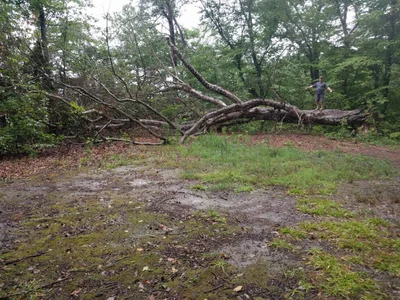 Surry County - Photo 3