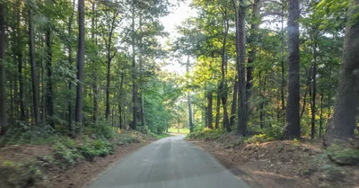Surry County - Photo 5