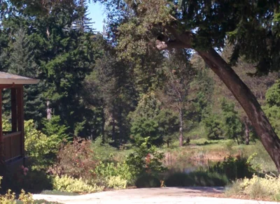 Bonny Doon - Photo 4