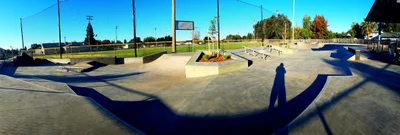 Live Oak - Photo 5