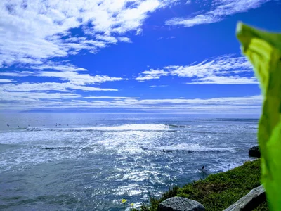 Pleasure Point - Photo 2