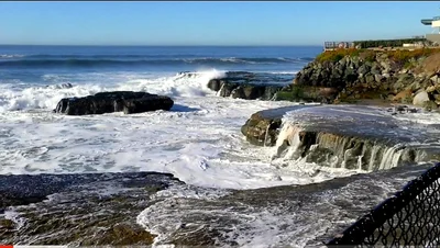 Pleasure Point - Photo 4