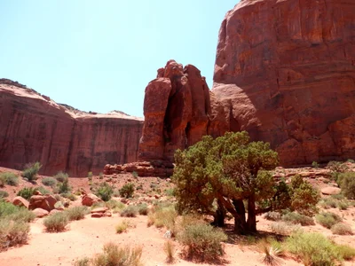Navajo County - Photo 3