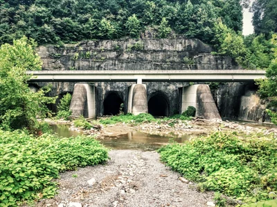 Harlan - Photo 4