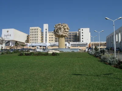 Alger ⴷⵣⴰⵢⴻⵔ الجزائر - Photo 2
