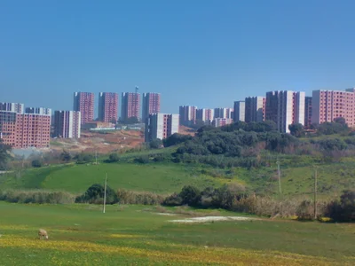 Alger ⴷⵣⴰⵢⴻⵔ الجزائر - Photo 3