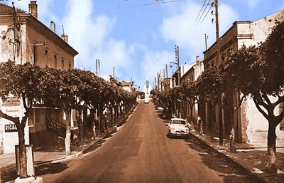 Alger ⴷⵣⴰⵢⴻⵔ الجزائر - Photo 4
