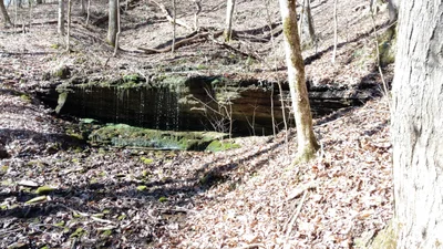 Cumberland County - Photo 3