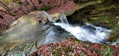 McCreary County - Photo 2