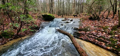 McCreary County - Photo 3