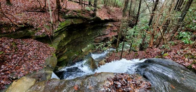 McCreary County - Photo 4