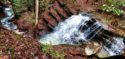 McCreary County - Photo 5