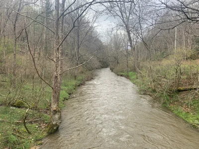Grayson County - Photo 2