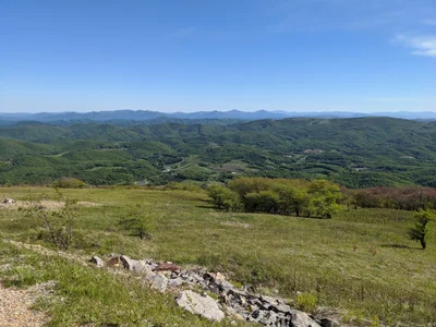 Grayson County - Photo 4