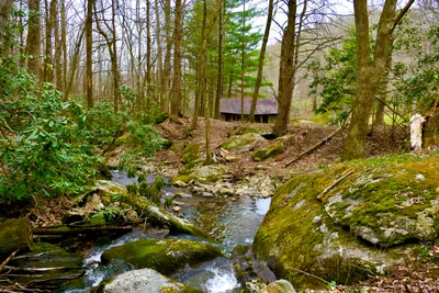 Grayson County - Photo 5