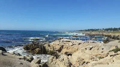 Del Monte Forest - Photo 4