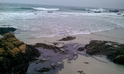 Del Monte Forest - Photo 5
