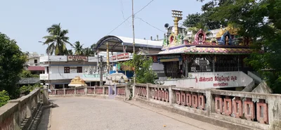Tanuku - Photo 4
