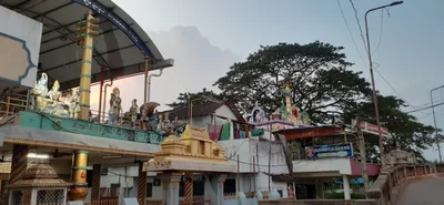 Tanuku - Photo 5