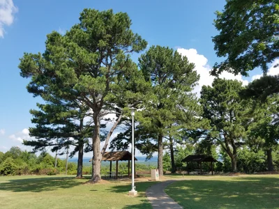 Ozark County - Photo 3