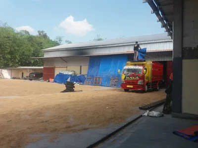 Purwodadi - Photo 2