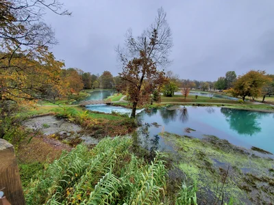 Mammoth Spring - Photo 2
