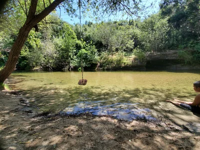 Carmel Valley - Photo 2