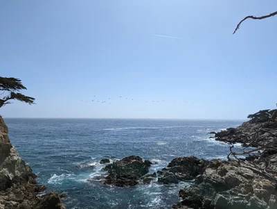 Carmel Valley - Photo 3