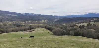 Carmel Valley - Photo 5